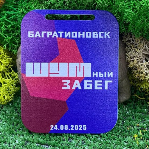 Шумный забег